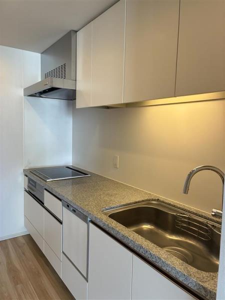 キッチン　カラー要確認