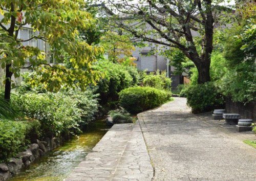 公園　岩戸川緑地公園（公園）まで3041m