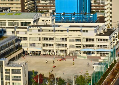 小学校　豊洲小学校（小学校）まで870m