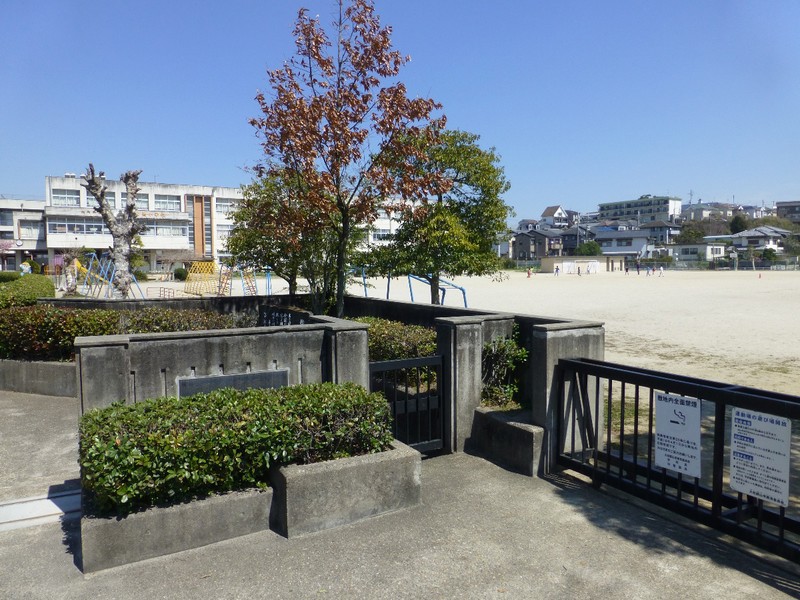 小学校　大和郡山市立郡山西小学校（小学校）まで497m