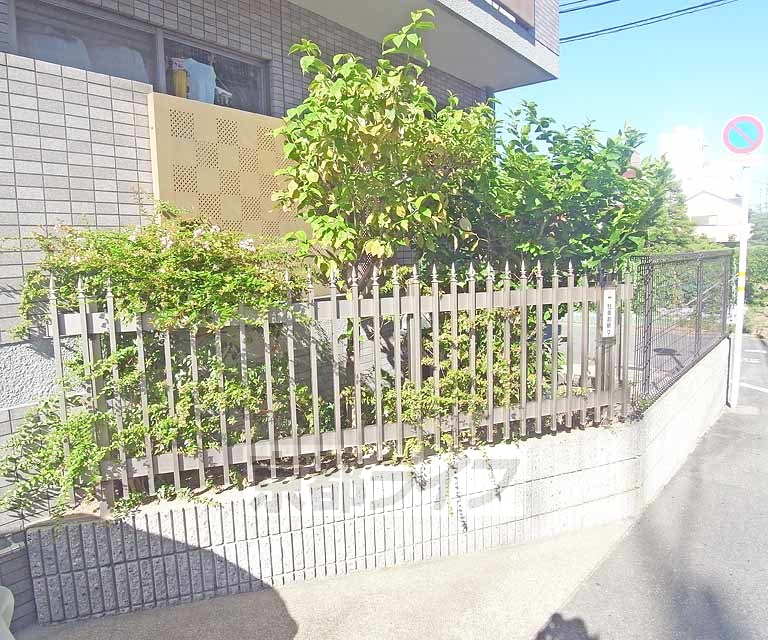 庭