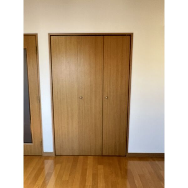 収納　※他部屋の参考写真です。