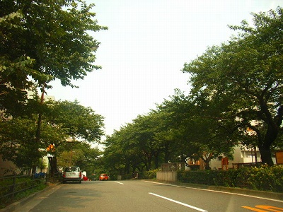 その他　播磨坂（その他）まで447m