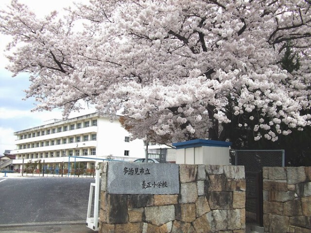 小学校　多治見市立養正小学校（小学校）まで1366m