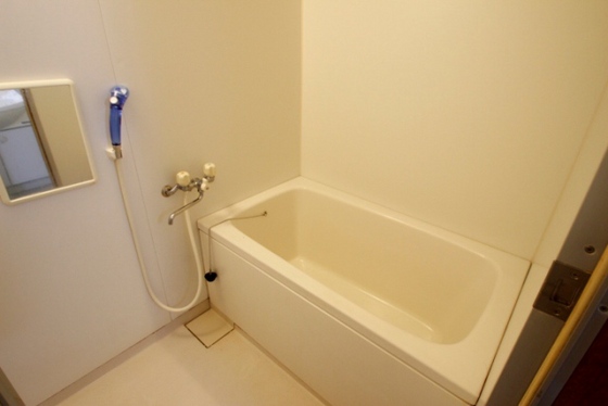 バス・シャワールーム　※別部屋の写真です