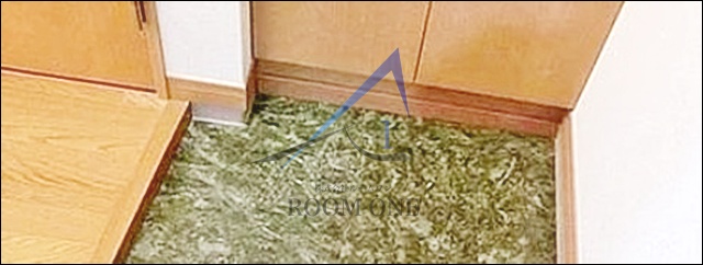 玄関　玄関です。