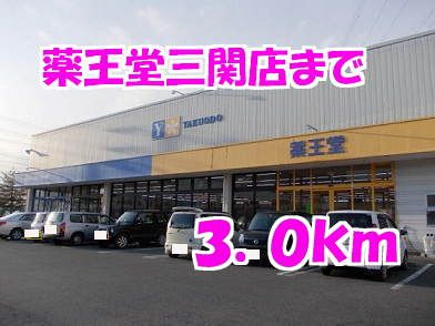 ドラックストア　薬王堂（ドラッグストア）まで3000m