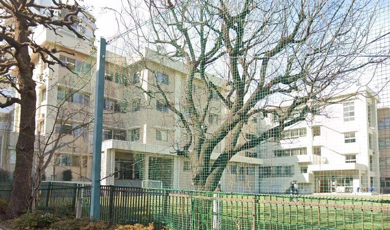 小学校　板橋区立板橋第四小学校（小学校）まで300m