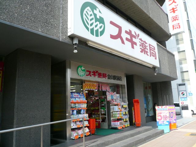 その他　スギ薬局（その他）まで250m