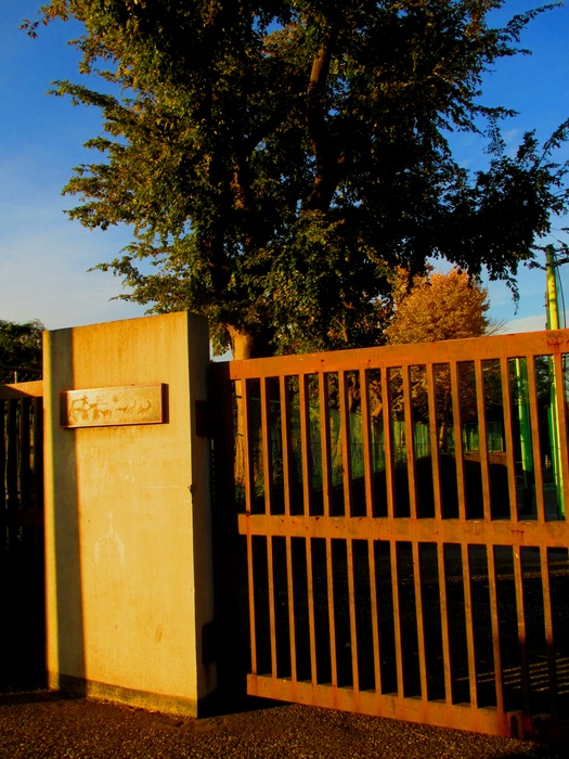 中学校　大森第４中学校（中学校）まで300m