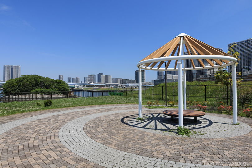 公園　有明北緑道公園（公園）まで341m