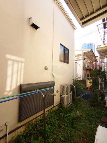 眺望　ヨツヤソウ