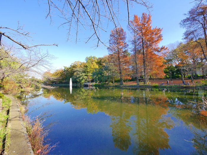 公園　石神井公園（公園）まで630m