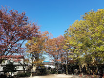 公園　梅里中央公園（公園）まで293m
