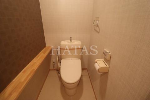 トイレ　同物件別部屋です。