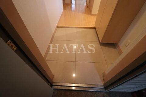 玄関　同物件別部屋です。