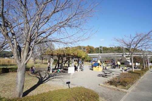 公園　大百池公園（公園）まで1193m