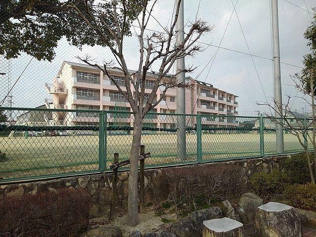 小学校　鳥飼小学校（小学校）まで970m