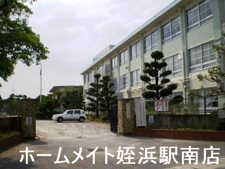小学校　今宿小学校（小学校）まで293m