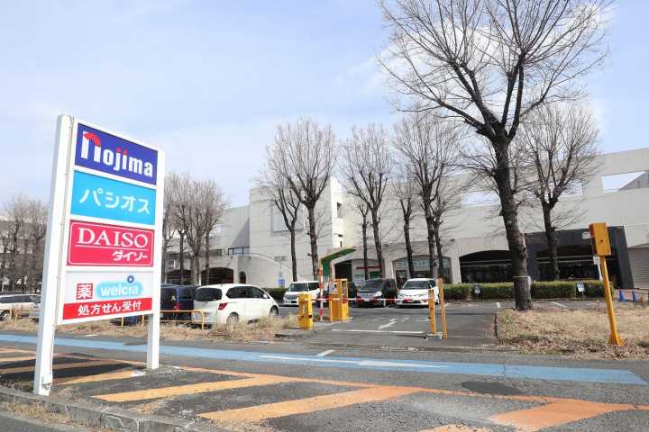 その他　ノジマイオンフードスタイル小平店（その他）まで1159m