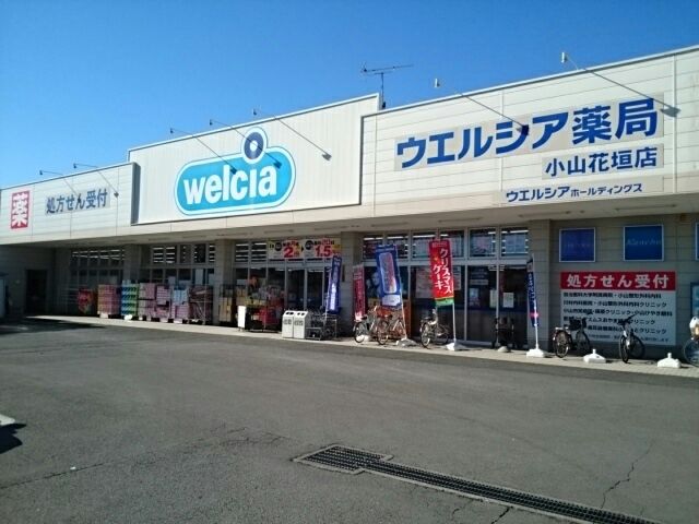 ドラックストア　ウエルシア小山花垣店（ドラッグストア）まで1100m