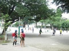 幼稚園・保育園　陽光保育園（幼稚園・保育園）まで255m