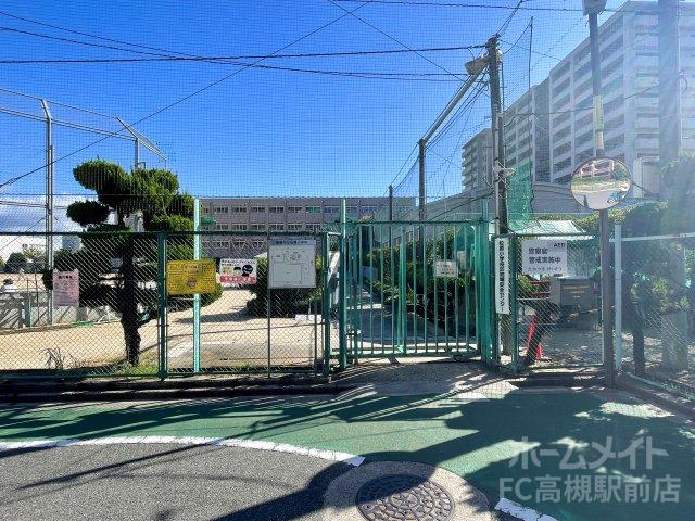 小学校　高槻市立松原小学校（小学校）まで782m