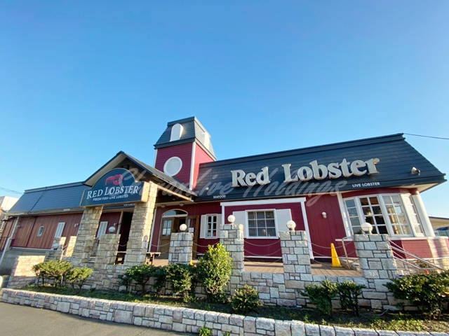 飲食店　レッドロブスター江ノ島店（飲食店）まで848m