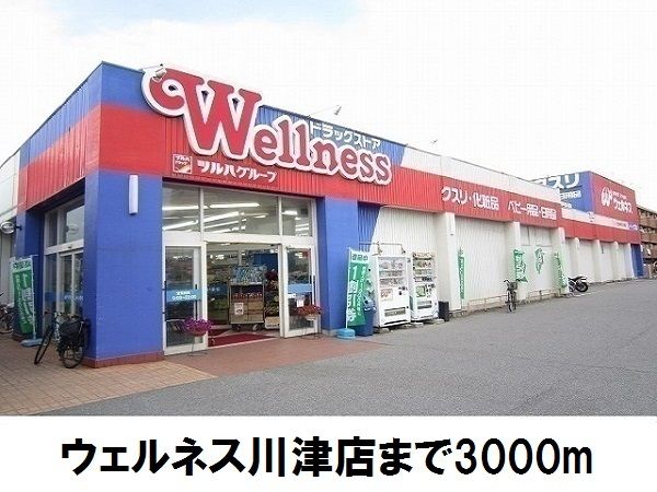 ドラックストア　ウェルネス川津店（ドラッグストア）まで3000m