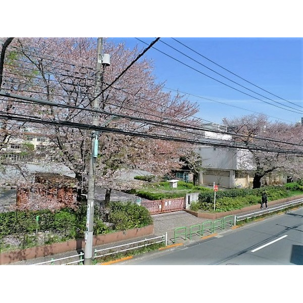 小学校　板橋区立成増小学校（小学校）まで241m