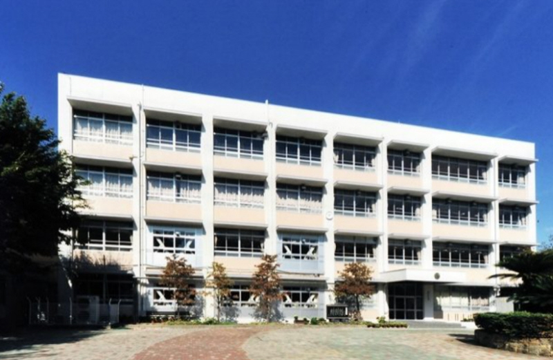 小学校　野里小学校（小学校）まで528m