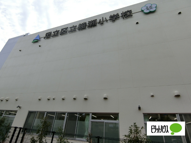 小学校　足立区立綾瀬小学校（小学校）まで339m