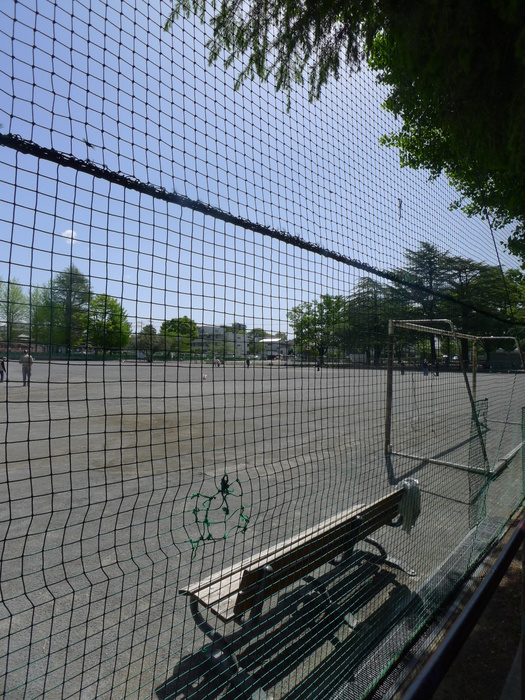 公園　公園（公園）まで10m