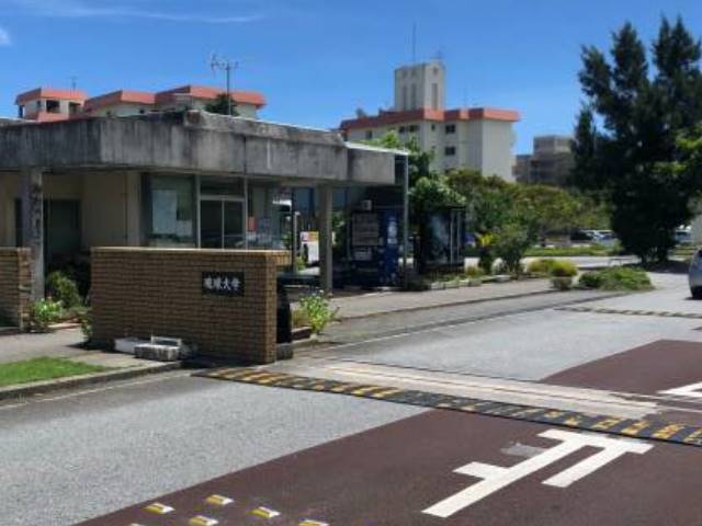 大学・短大　国立琉球大学（大学・短大）まで562m