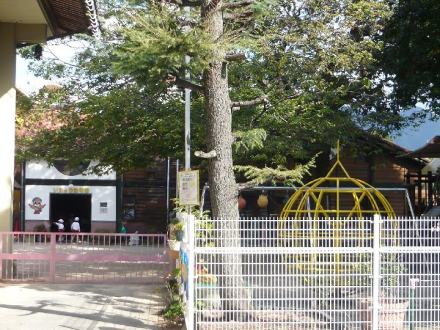 幼稚園・保育園　いちょう幼稚園（幼稚園・保育園）まで774m