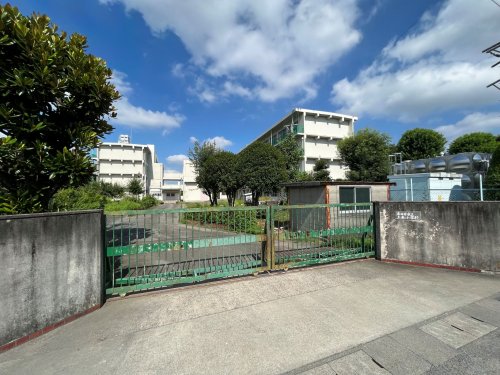 小学校　上条小学校（小学校）まで386m
