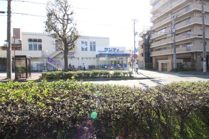 スーパー　サンディ住吉墨江店（スーパー）まで160m