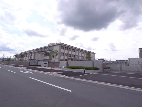 小学校　木津川市立城山台小学校（小学校）まで205m