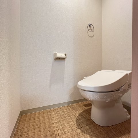 トイレ　同仕様タイプです