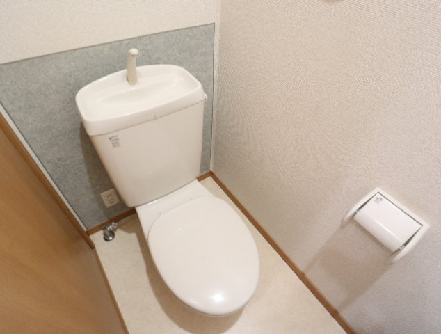 トイレ　トイレも気になるポイント