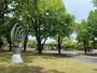 公園　慈眼寺東公園（公園）まで950m