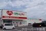 その他　くすりのレディ善通寺店まで250m