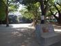 公園　早稲田通り公園（公園）まで334m