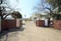 小学校　長岡京市立長岡第四小学校（小学校）まで248m