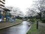 公園　大横川親水公園（公園）まで885m