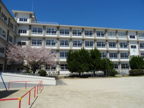 小学校　札幌市立幌東小学校（小学校）まで693m