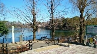 公園　洗足池公園（公園）まで300m