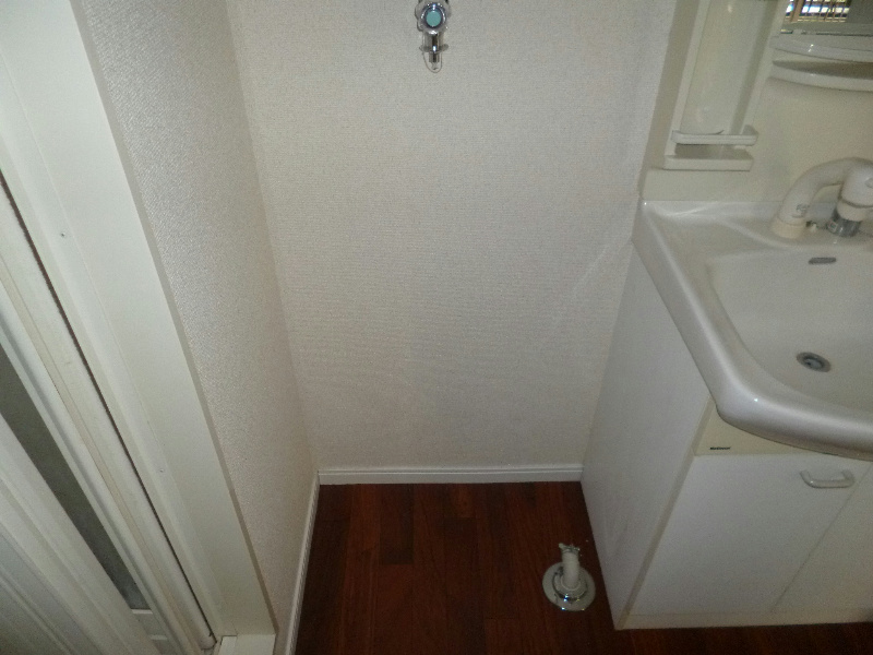 その他　室内洗濯機置場完備です。(同建物の別部屋の写真)