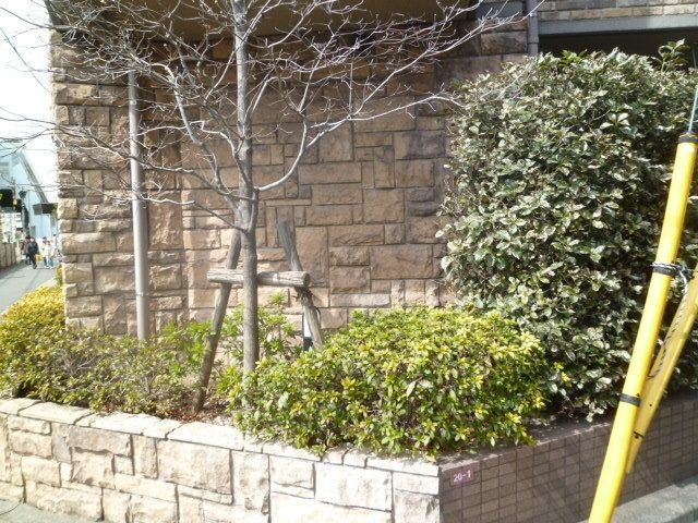 エントランス　★植栽★