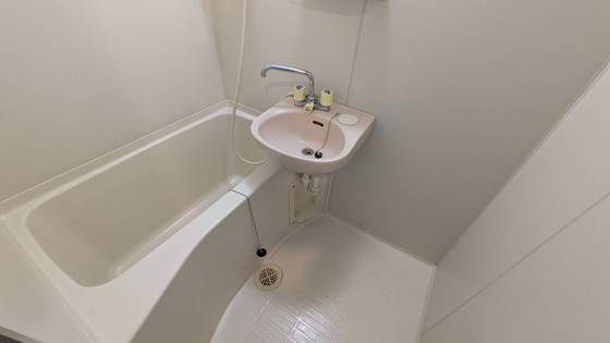 バス・シャワールーム　※別部屋の写真です